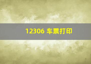 12306 车票打印